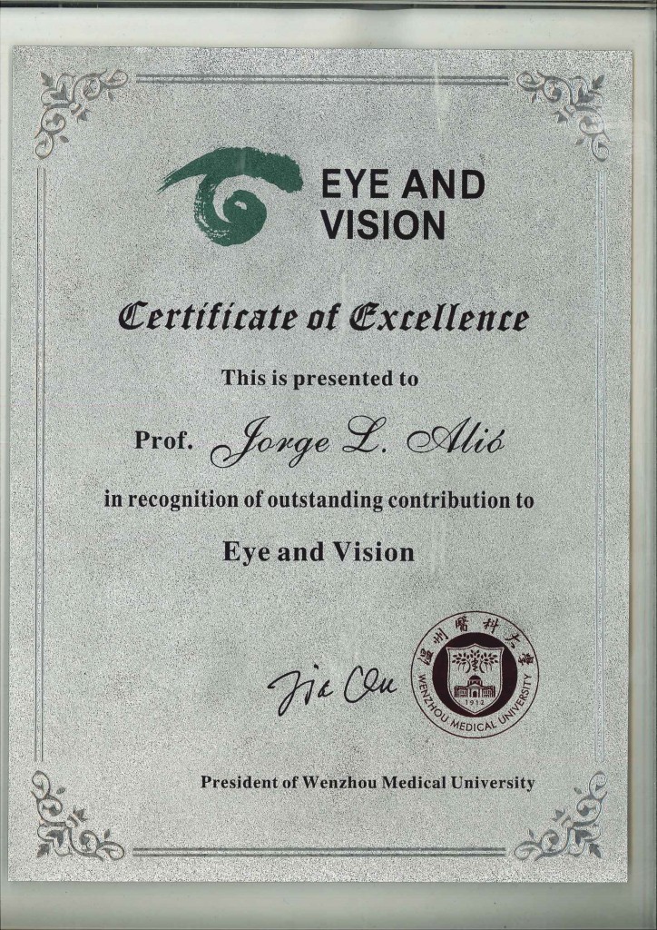 2015 - Certificate of Excellence (Eye&Vision)