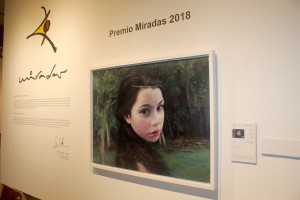 PremioMiradas2018